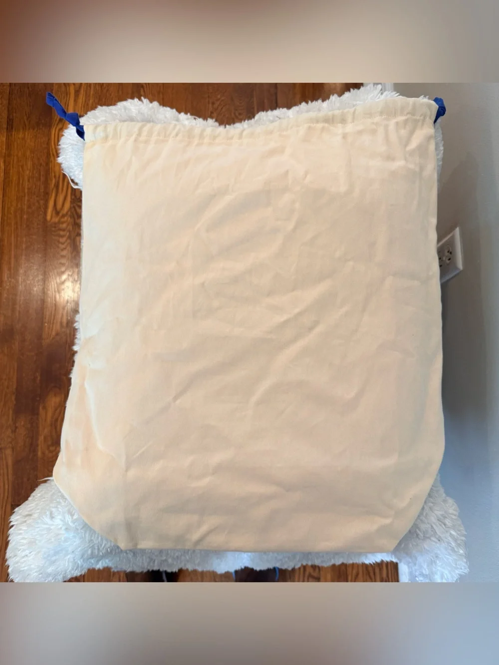 Louis Vuitton authentic louis